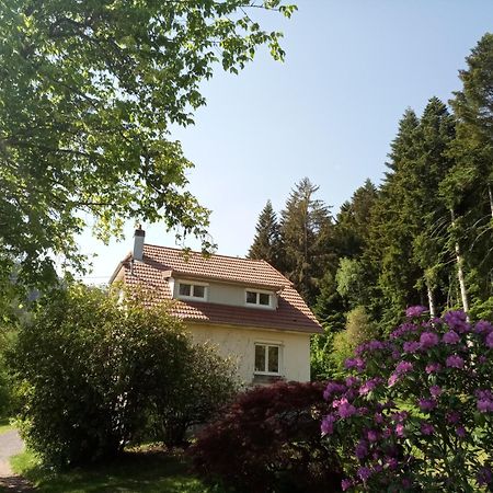Vosges House 110 M2 In The Heart Of Nature L'Oree Du Bois Saint-Michel-sur-Meurthe Exteriér fotografie
