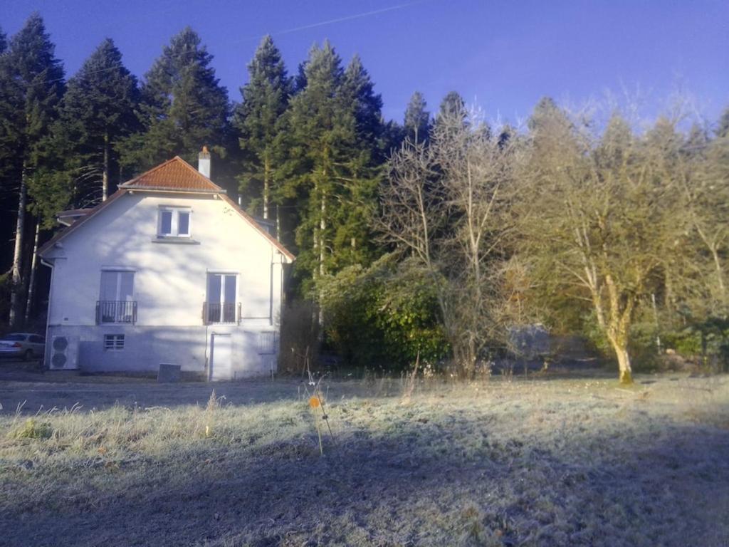 Vosges House 110 M2 In The Heart Of Nature L'Oree Du Bois Saint-Michel-sur-Meurthe Exteriér fotografie