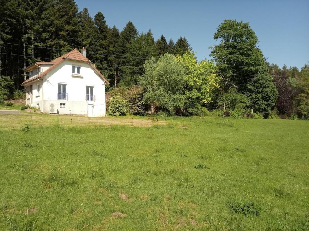 Vosges House 110 M2 In The Heart Of Nature L'Oree Du Bois Saint-Michel-sur-Meurthe Exteriér fotografie