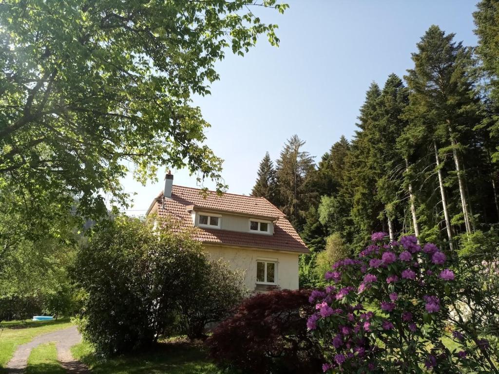 Vosges House 110 M2 In The Heart Of Nature L'Oree Du Bois Saint-Michel-sur-Meurthe Exteriér fotografie