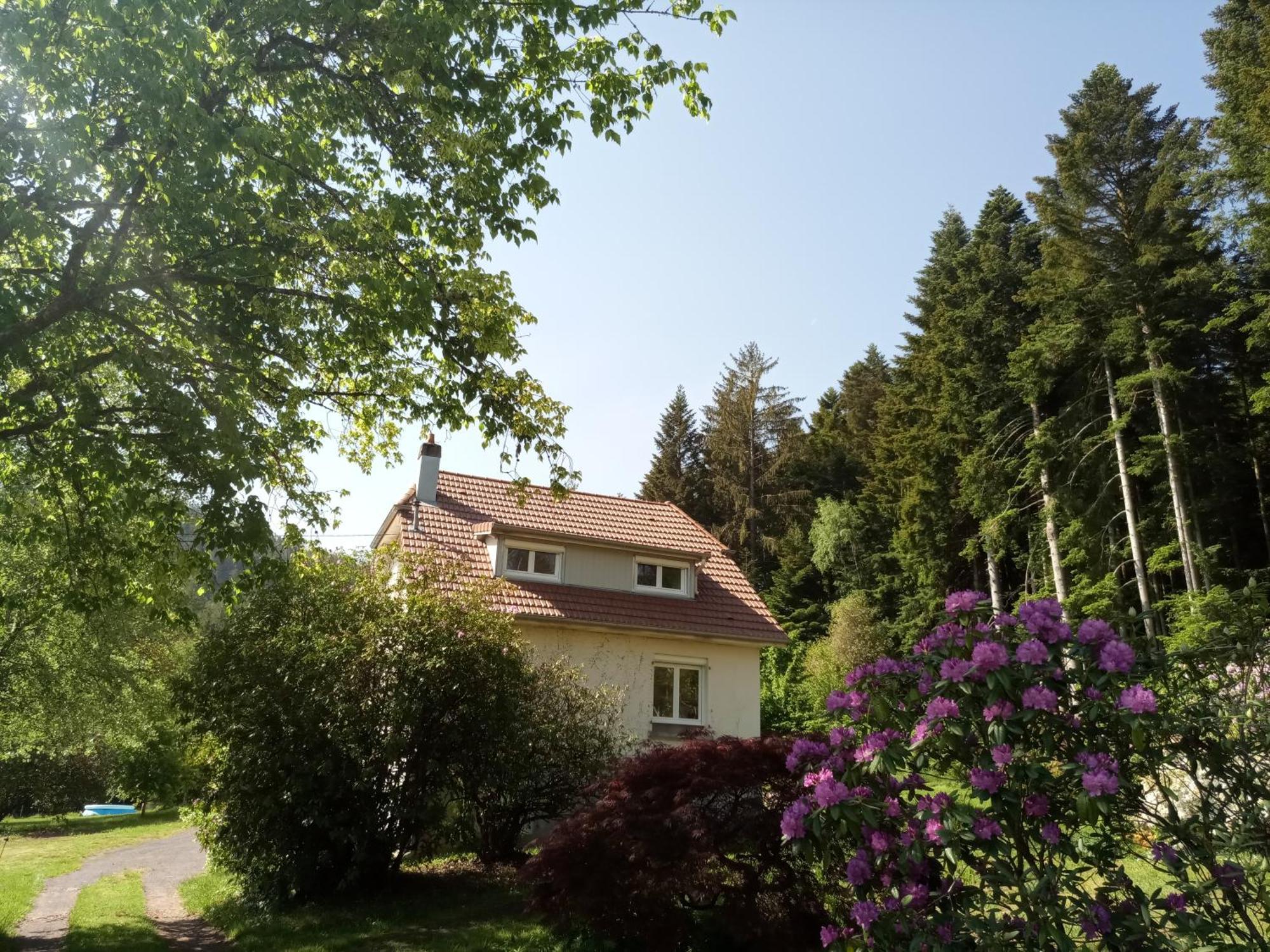 Vosges House 110 M2 In The Heart Of Nature L'Oree Du Bois Saint-Michel-sur-Meurthe Exteriér fotografie
